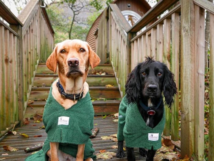 RiverBeds Loges mit Hund